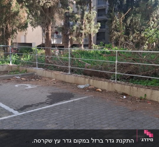 חניה ריקה עם עצים וגדר ברקע